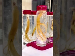 Minuman Sarang Burung Instan